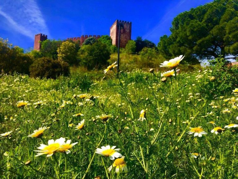 Jeep Safari Silves And Monchique From Albufeira -Discover the wonders of Silves and Monchique with our thrilling Jeep Safari...